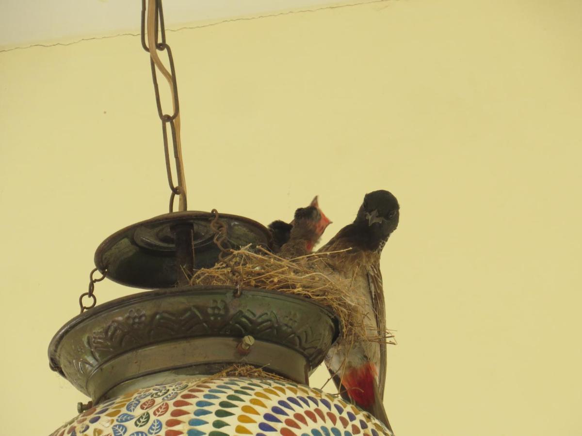 Rajputana Heritage Sawai Madhopur Dış mekan fotoğraf