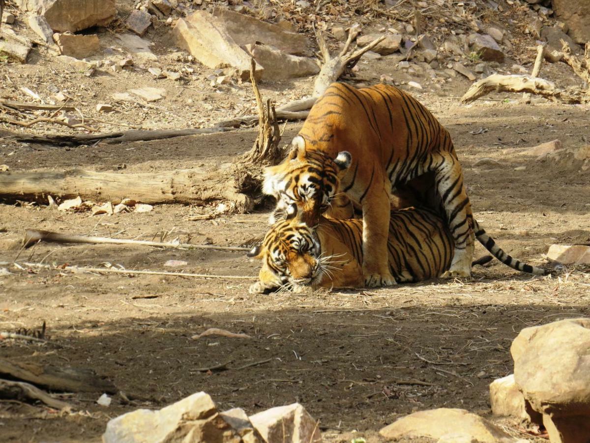 Rajputana Heritage Sawai Madhopur Dış mekan fotoğraf