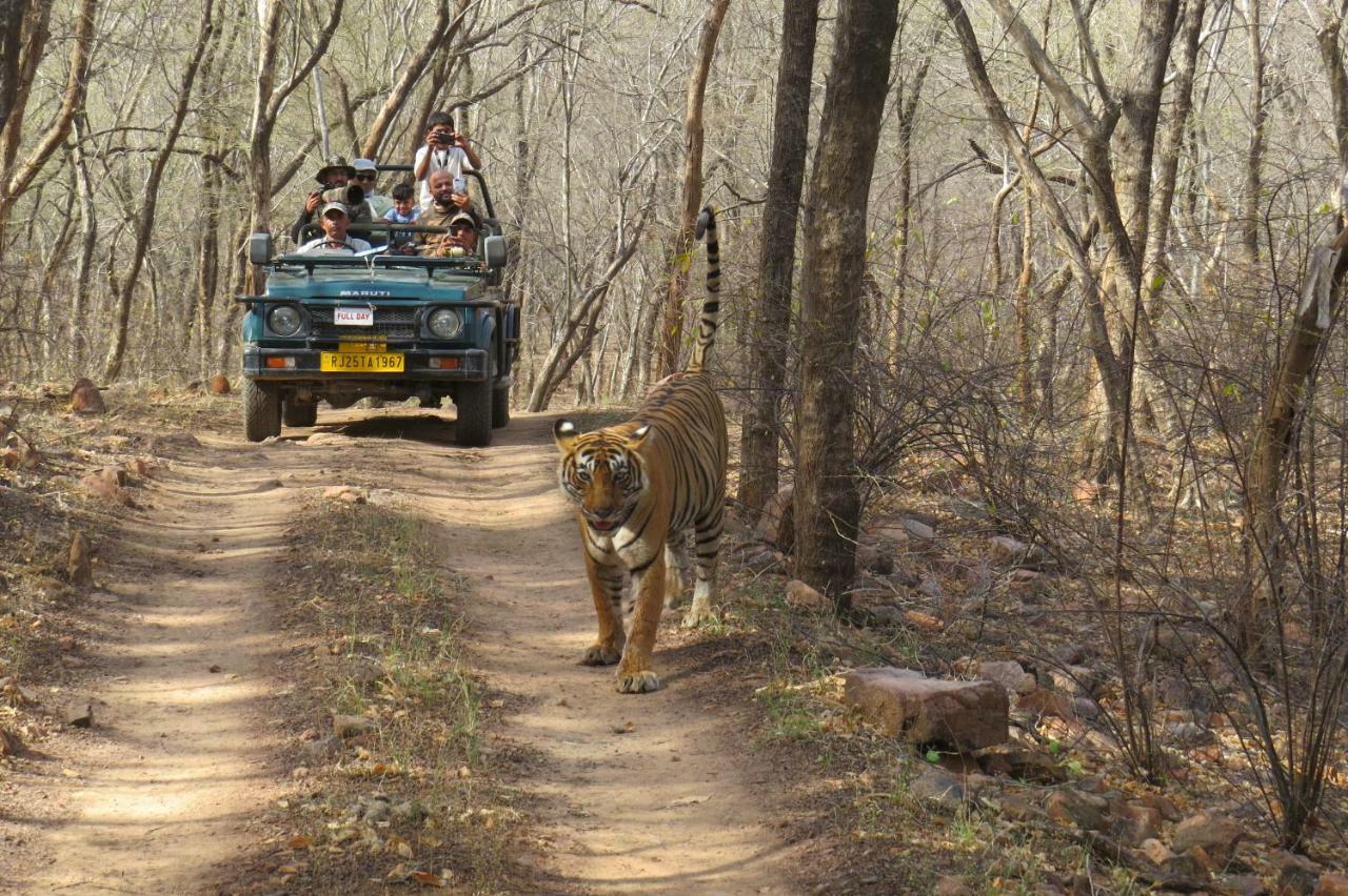 Rajputana Heritage Sawai Madhopur Dış mekan fotoğraf
