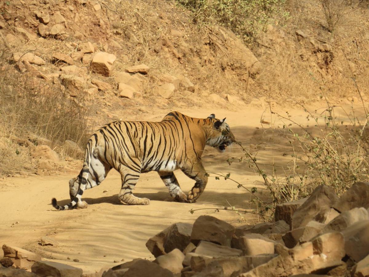 Rajputana Heritage Sawai Madhopur Dış mekan fotoğraf